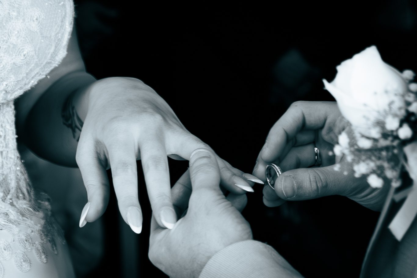 Hochzeitsring wird an den Finger der Braut gesteckt, mit einer weißen Rose im Hintergrund.